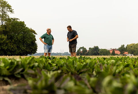 A vegyszermentes jövő felé a mezőgazdaságban: Koen termelő víziója