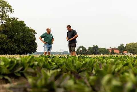 A vegyszermentes jövő felé a mezőgazdaságban: Koen termelő víziója