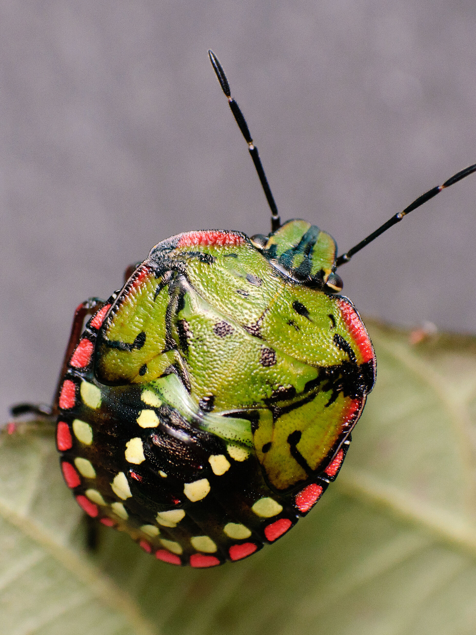 Útmutató mesterséges világítás használatához