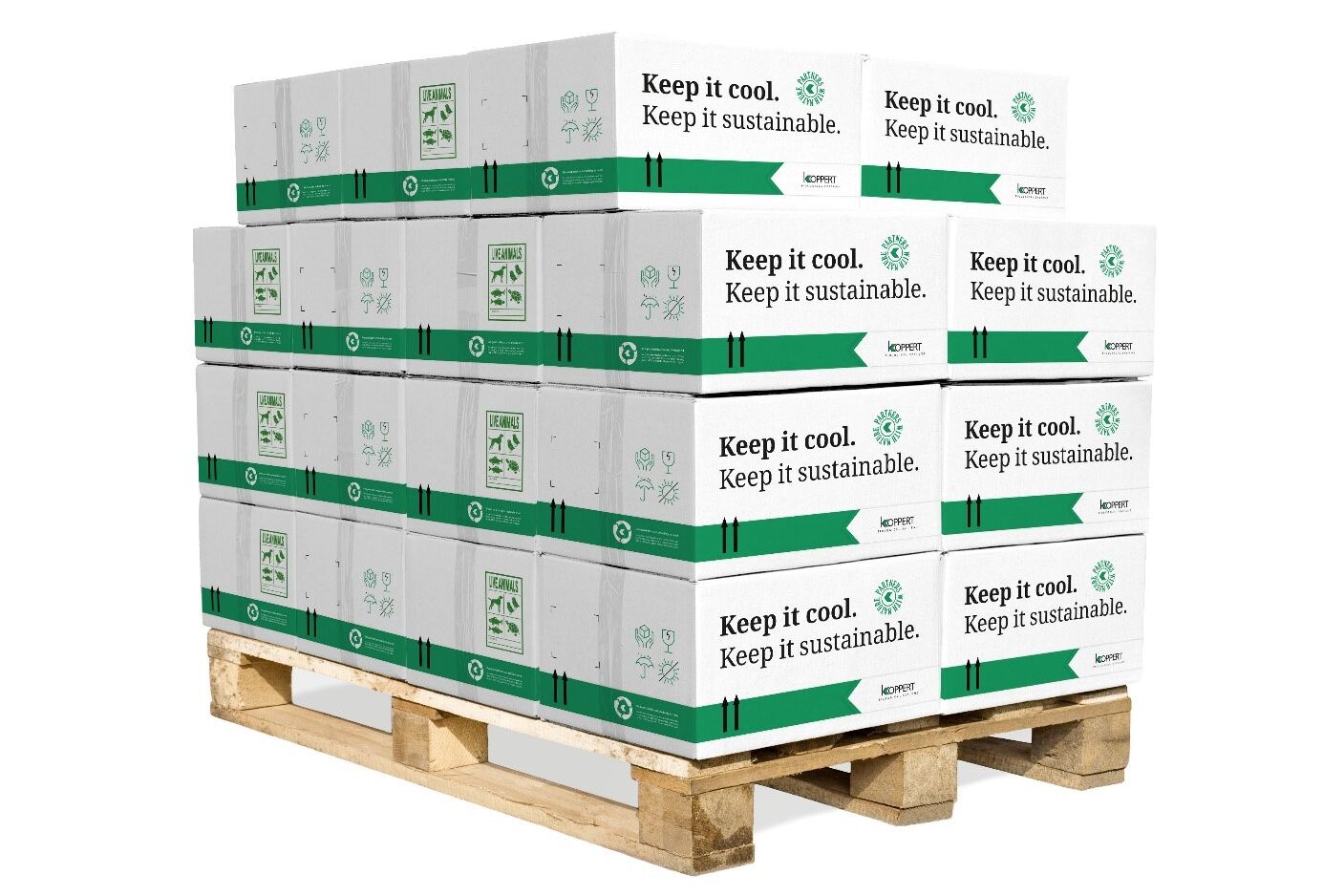 Környezetbarát hűtődoboz: a Koppert új, fenntartható csomagolása