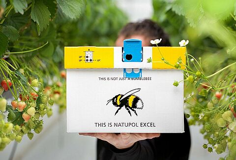 Következetes minőség és folyamatos innováció