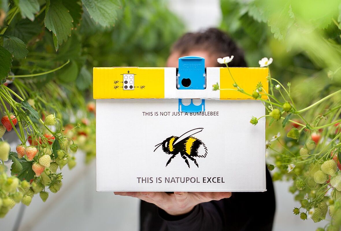 Következetes minőség és folyamatos innováció