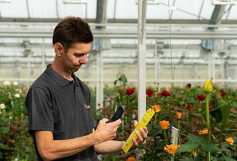 Less use of chemical pesticides due to Natutec Scout