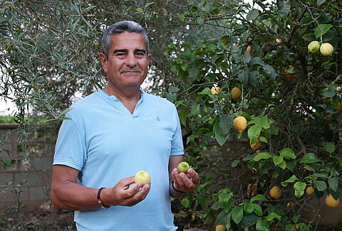 A fenntartható citrustermesztés útja a mezőgazdaságban