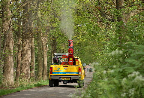 Wolterinck faipari szakértő: Entonem-mel a tölgyfa hernyó ellen.