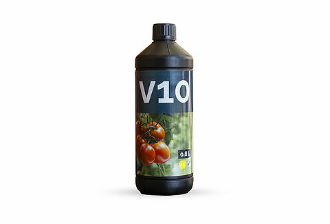 V10: Biológiai védelem a PepMV ellen