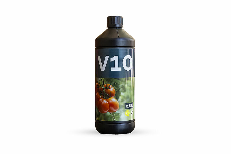 V10.jpg