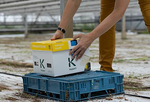 A méhkaptárak optimális elhelyezése