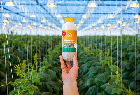 Spidex Vital: Az Ön vitális partnere a takácsatkafélék elleni védekezésben