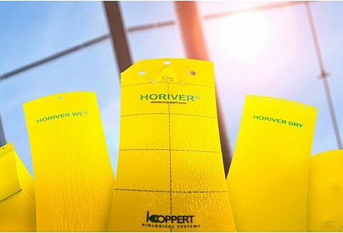 A Koppert négy új csapdával bővítette Horiver