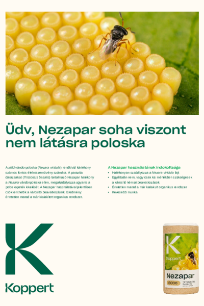A Nezapar hatásai