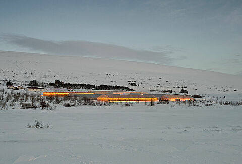 Mesterségesen megvilágított növények beporzási tanácsai