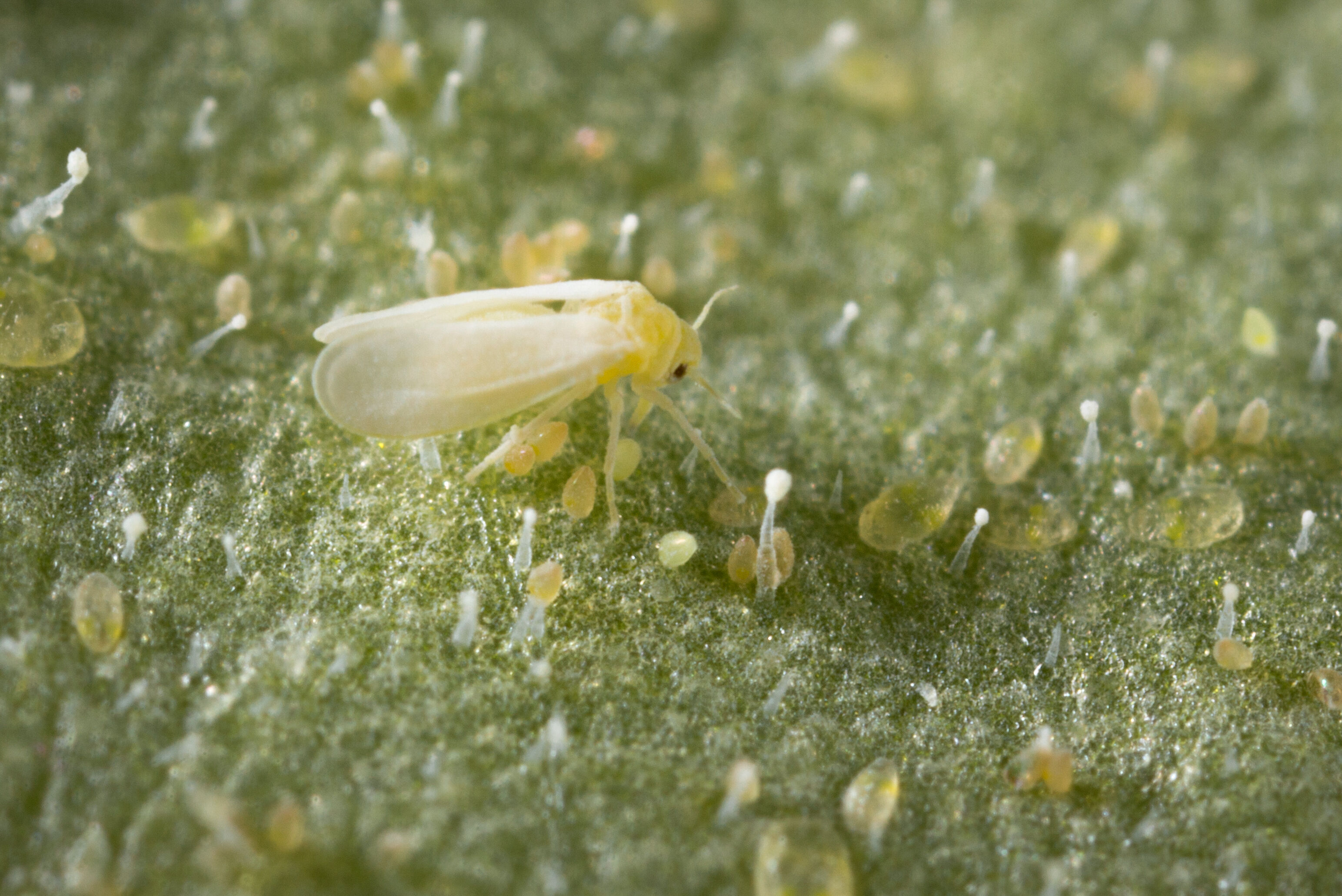 Ellenőrző lista mesterséges világítás használatához