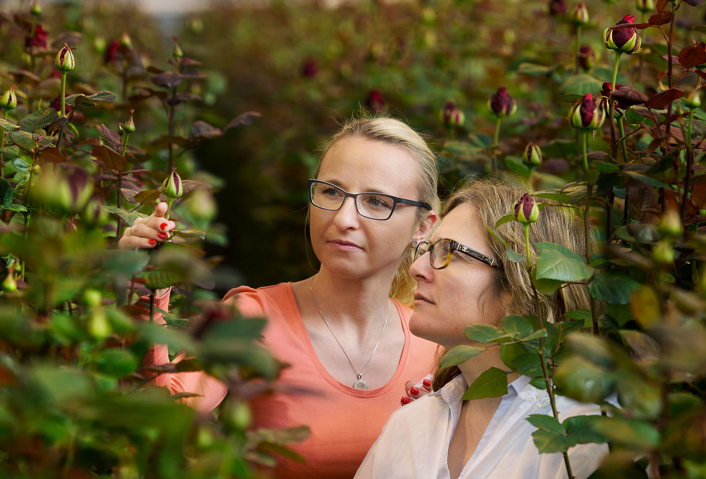Hatékony biológiai védekezés: megfigyelés felsőfokon