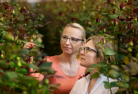 Hatékony biológiai védekezés: megfigyelés felsőfokon