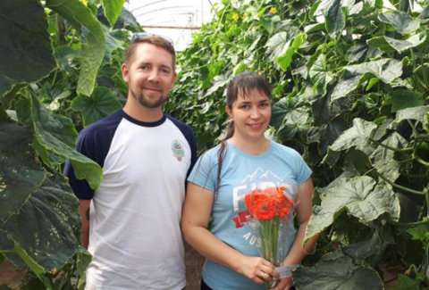 Gerbera ajándékba a koronavírus idején