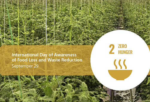 A nemzetközi figyelem felkeltése az élelmiszer-veszteség és -pazarlás csökkentése iránt