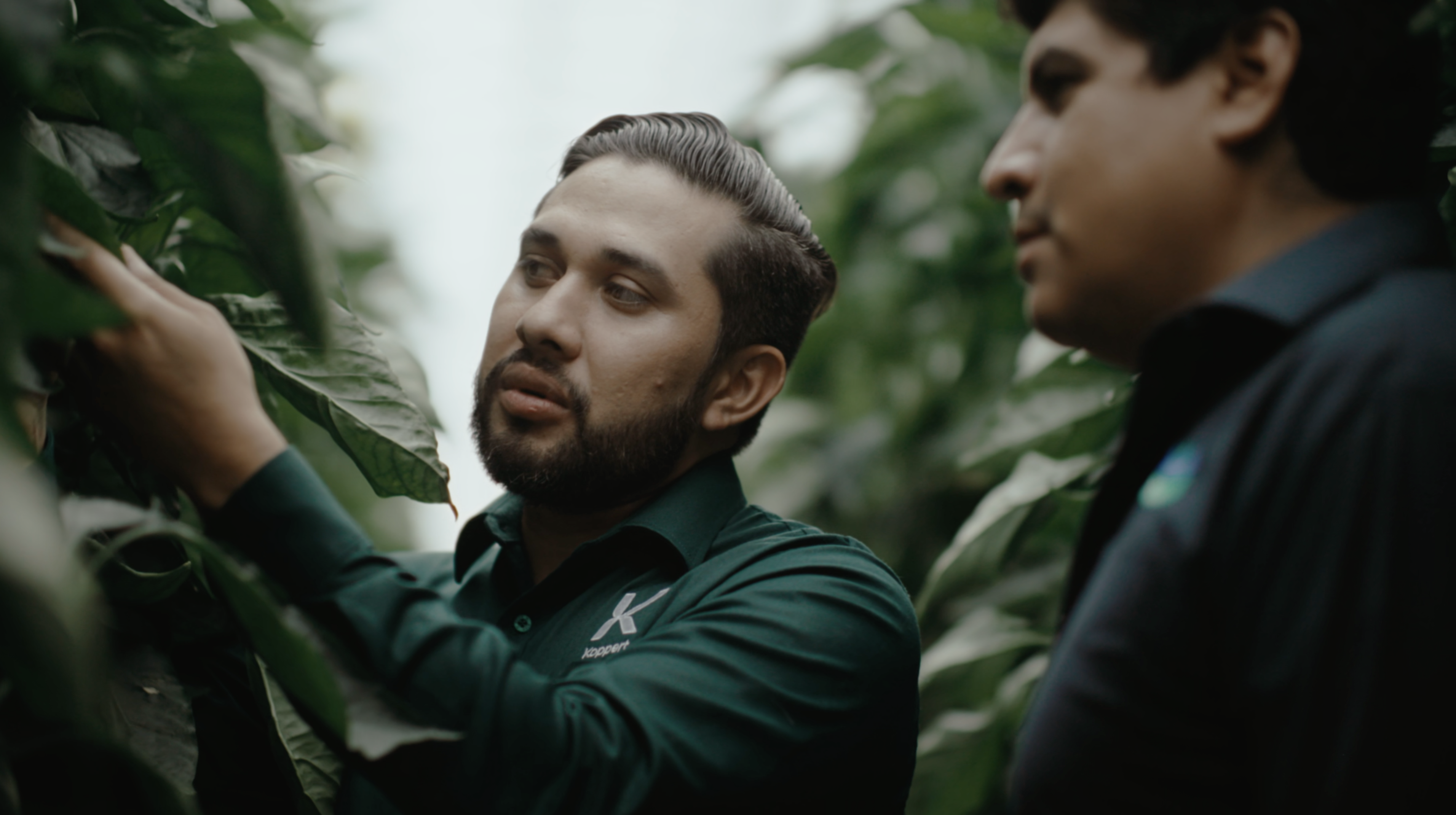 A La Hacienda Fresh növeli a termés jövedelmezőségét a biológiai védekezésnek köszönhetően