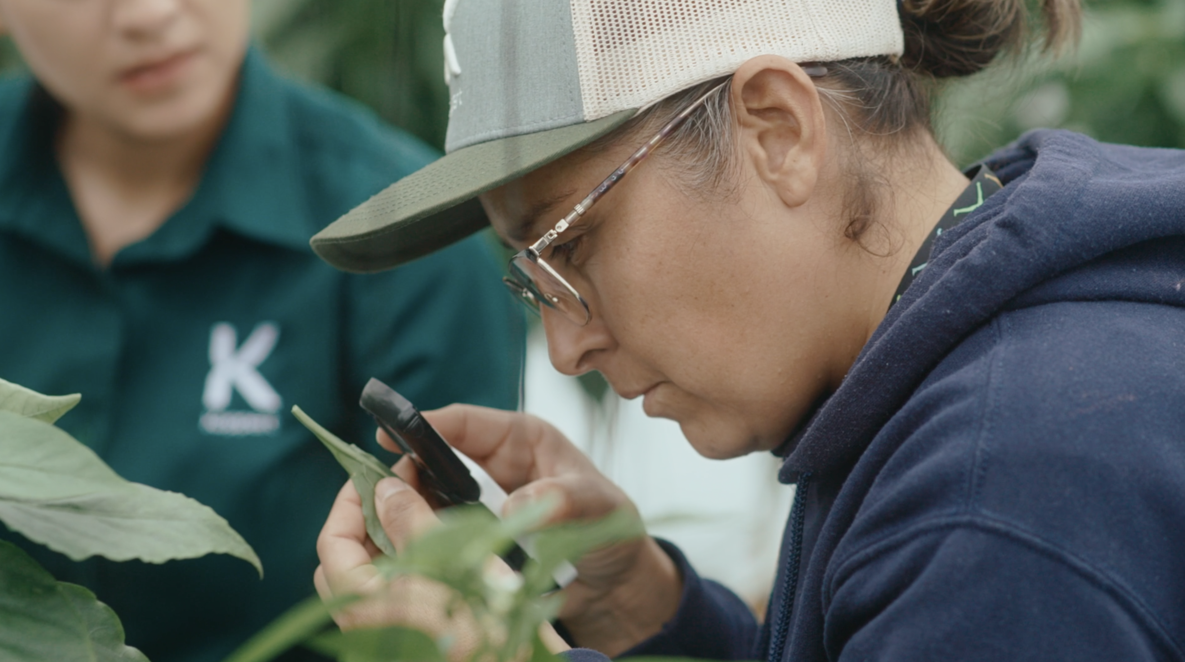 A HyFood a habanerót egy másik szintre emeli a biológiai védekezéssel